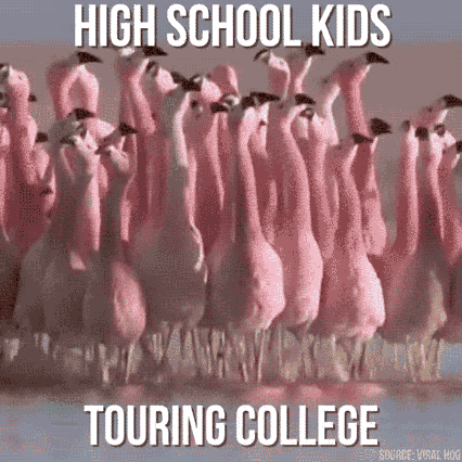 collegetuition